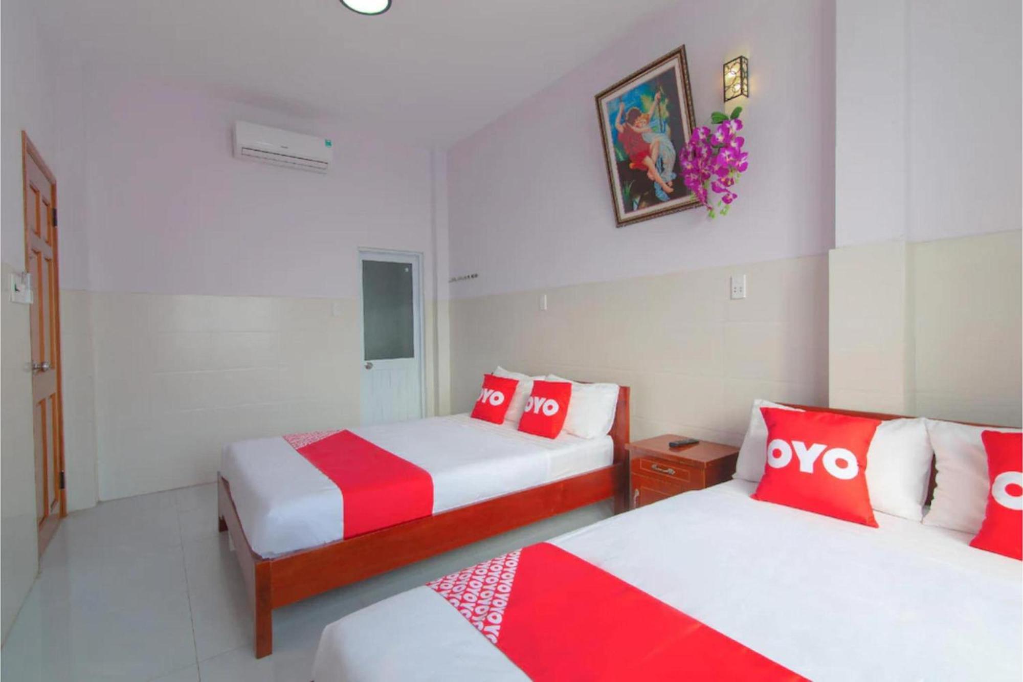 Oyo 868 Viet Anh Motel 岘港 外观 照片
